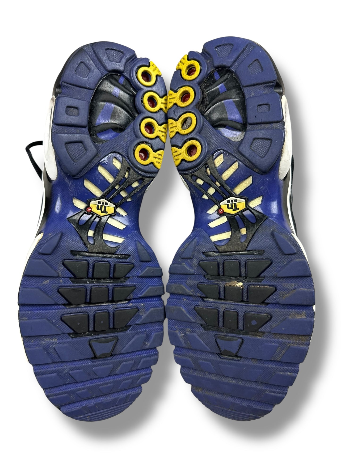 Nike Air Max Plus Tn Persian Violet