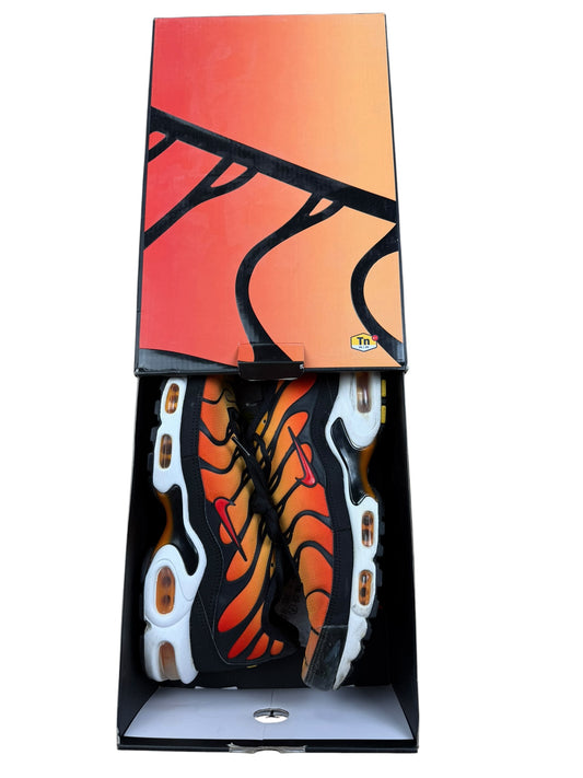 Nike Air Max Plus TN "Sunset"