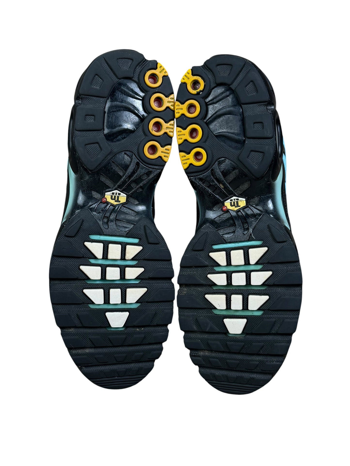 Nike Air Max Plus TN ‘Tiffany’
