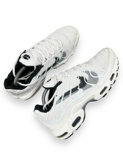 Nike Air Max Plus Tn Spray Paint Swoosh