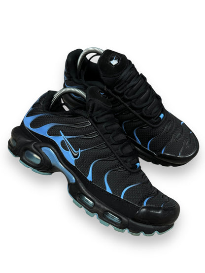 Nike Air Max Plus Tn University Blue