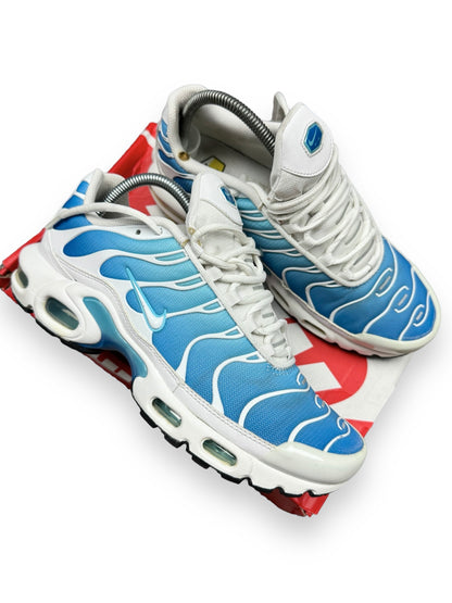 Nike Air Max Plus Tn Battle Blue