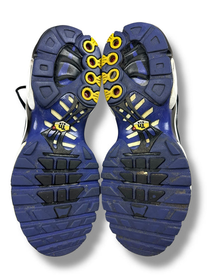 Nike Air Max Plus Tn Persian Violet
