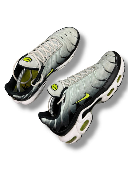 Nike Air Max Plus Tn Bright Cactus