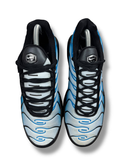 Nike Air Max Plus Tn Neptune Blue