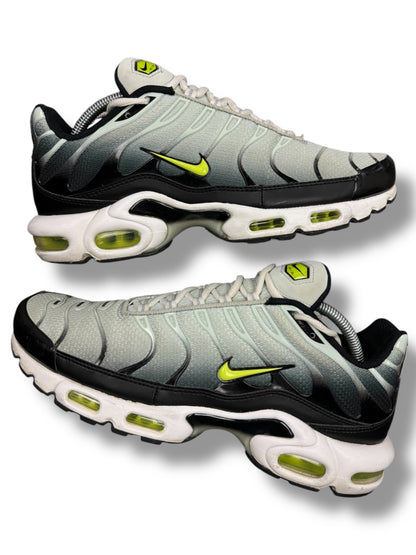 Nike Air Max Plus Tn Bright Cactus