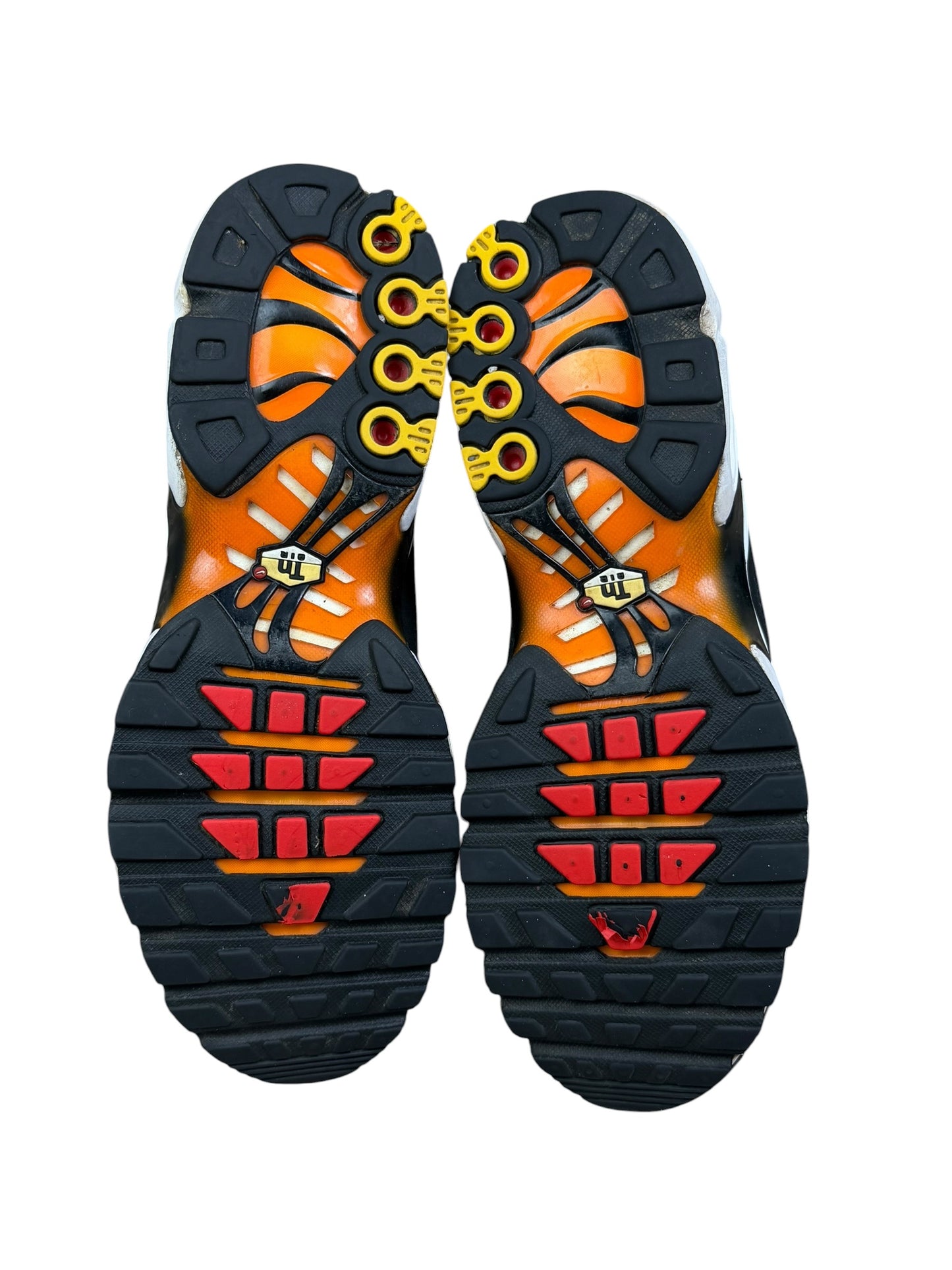 Nike Air Max Plus TN "Sunset"