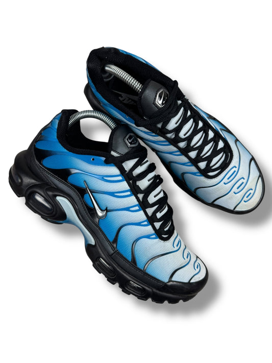 Nike Air Max Plus Tn Neptune Blue