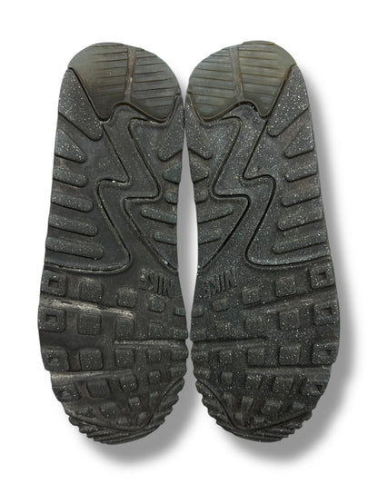 Nike Air Max 90 Terrascape