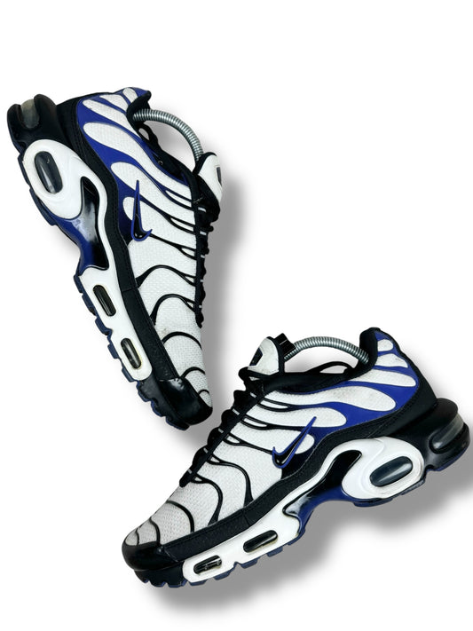Nike Air Max Plus Tn Persian Violet